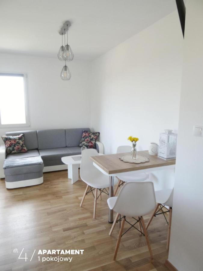 Apartament Karkonoska 普热谢卡 外观 照片
