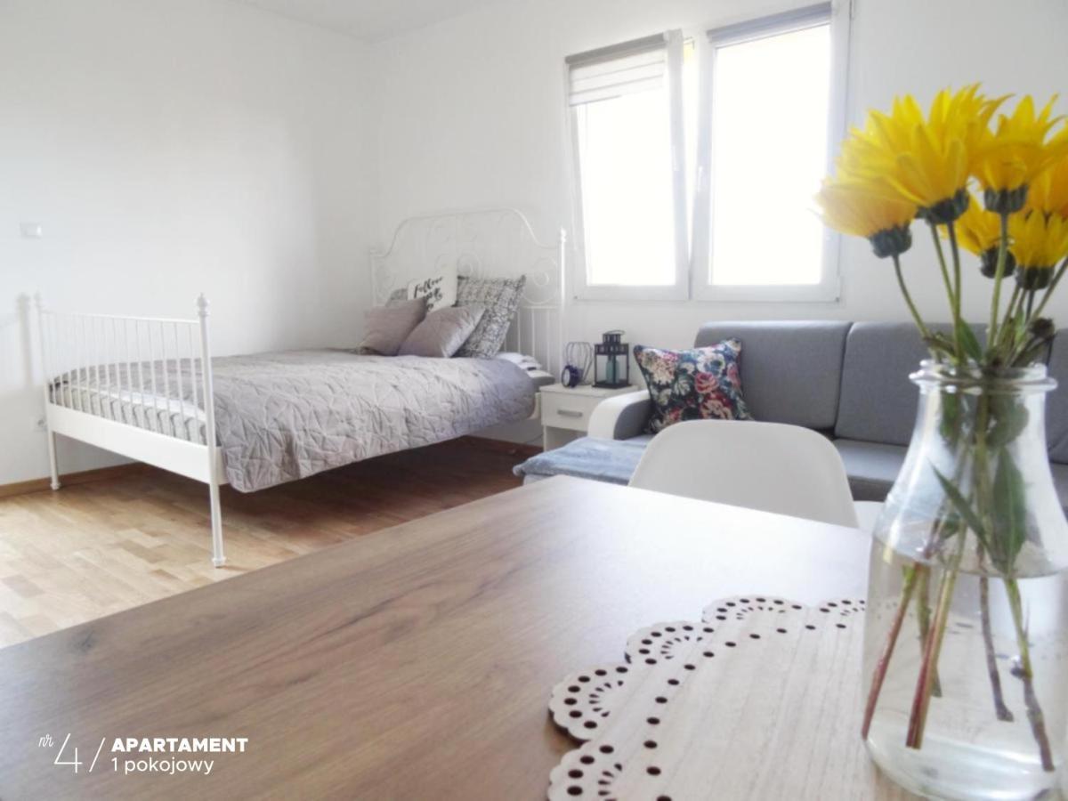 Apartament Karkonoska 普热谢卡 外观 照片