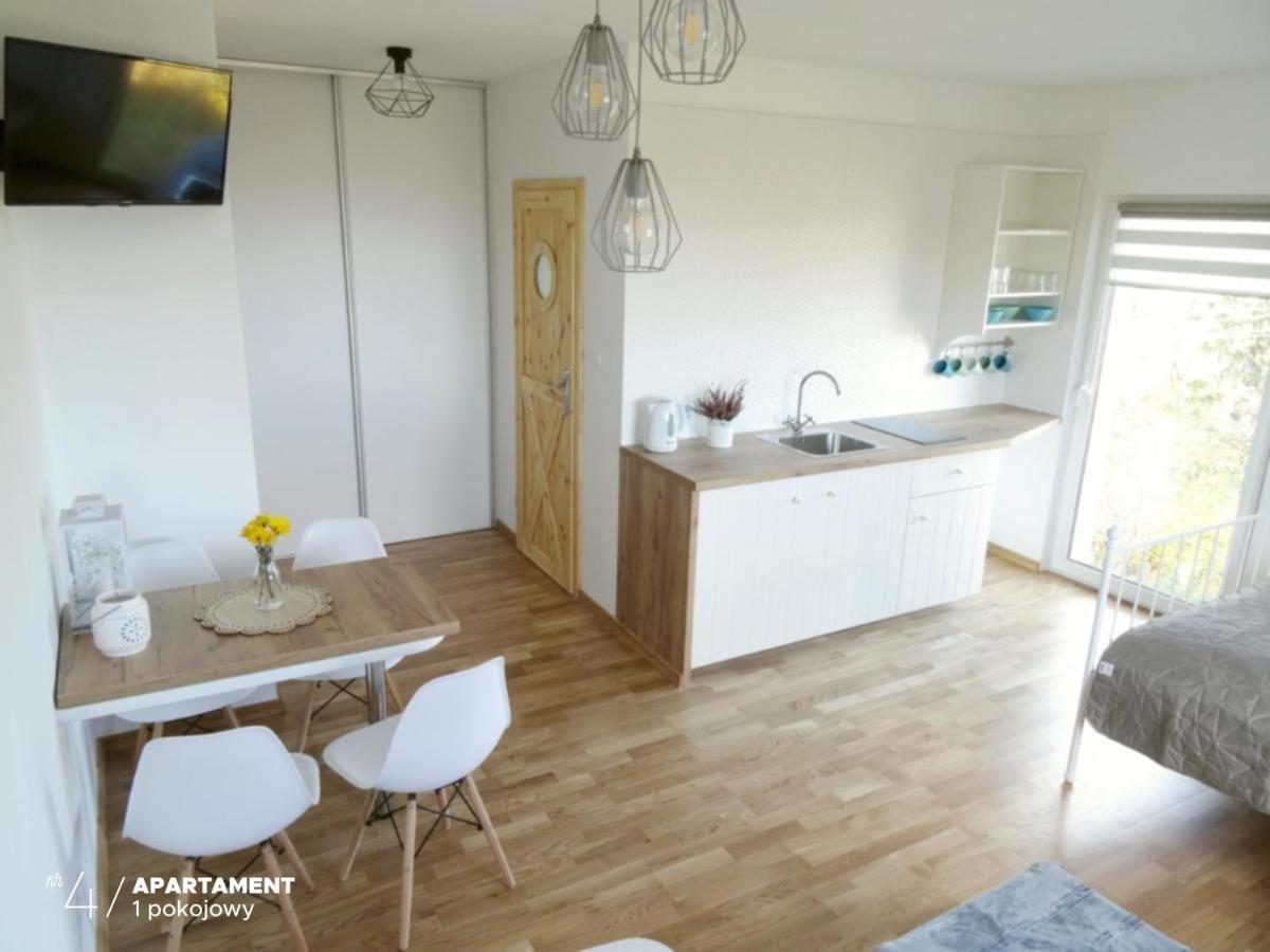 Apartament Karkonoska 普热谢卡 外观 照片