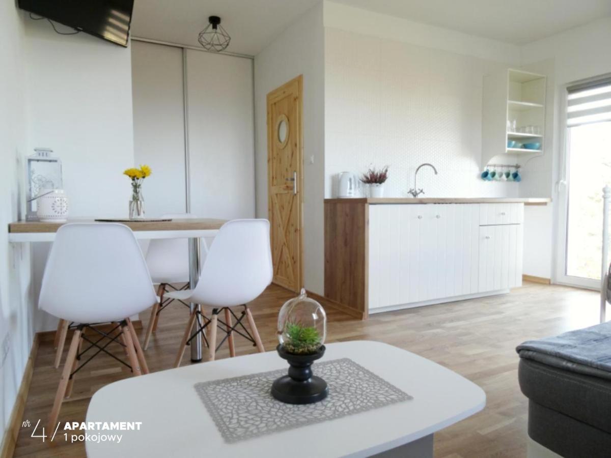 Apartament Karkonoska 普热谢卡 外观 照片